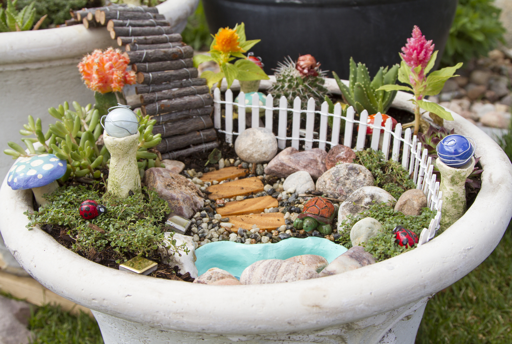 Fairy Garden in Flower Pot